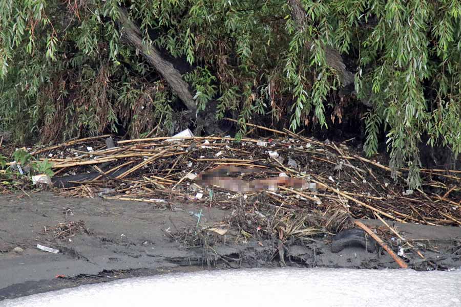 Encontraron cadáver en puente de Angelópolis y Juan Bosco