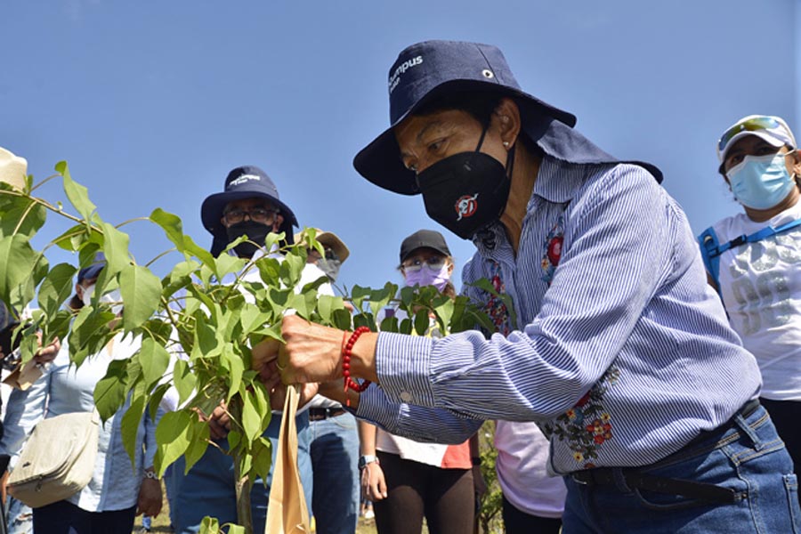 Encabezó Lilia Cedillo la reforestación del Memorial COVID-19