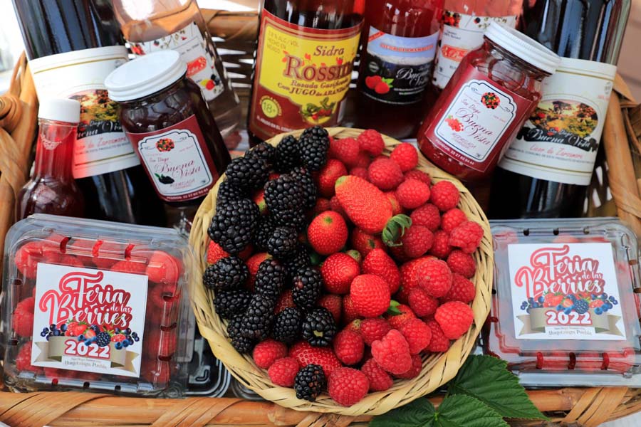 Invita Turismo a “Feria de las Berries” en Huejotzingo