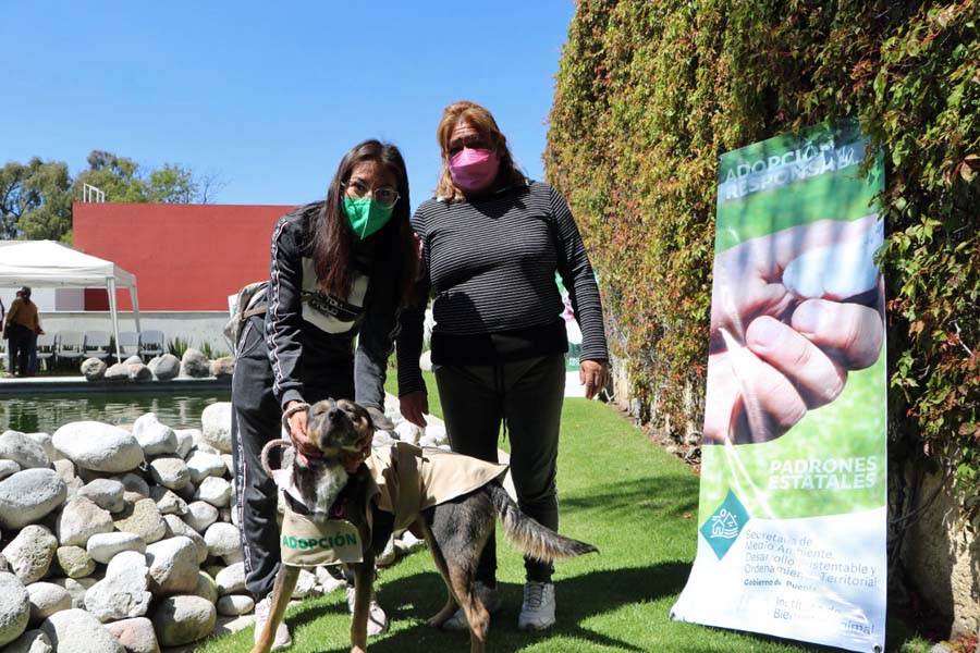 Cumple Medio Ambiente ciclo de rescate y adopción de canes