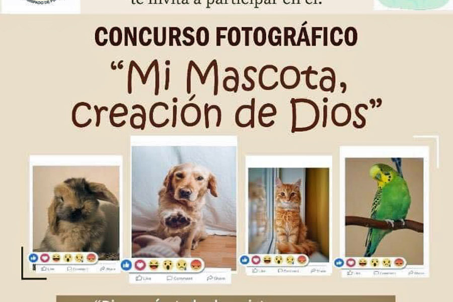 Orden Franciscana Seglar de Zacatlán convoca a concurso de fotografía de mascotas