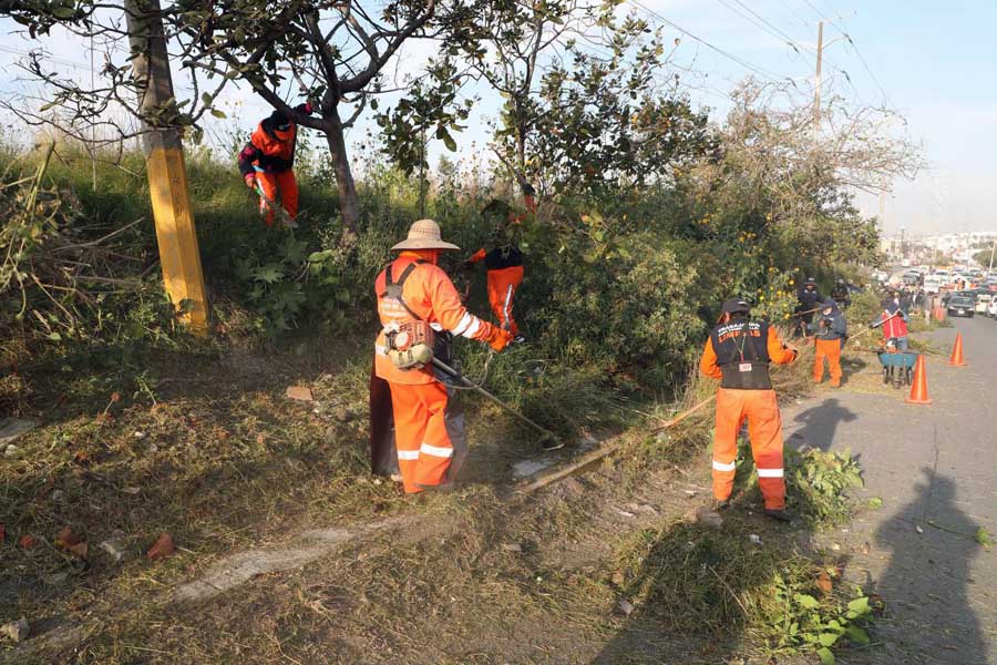 Ayuntamiento de Puebla llega a la avenida casuarinas con una jornada de limpieza integral