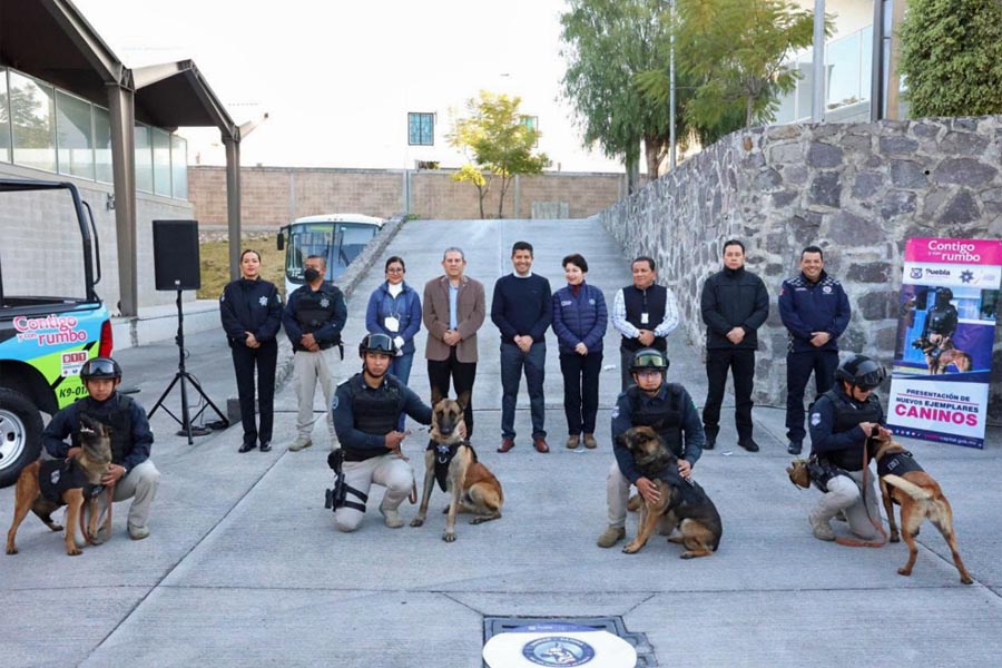 Policía municipal se fortalece con la incorporación de 10 nuevos ejemplares caninos