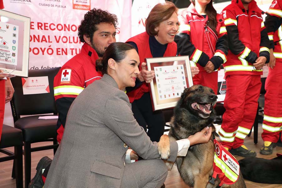 Reconoció Ayuntamiento a socorristas y canes que acudieron a Turquía