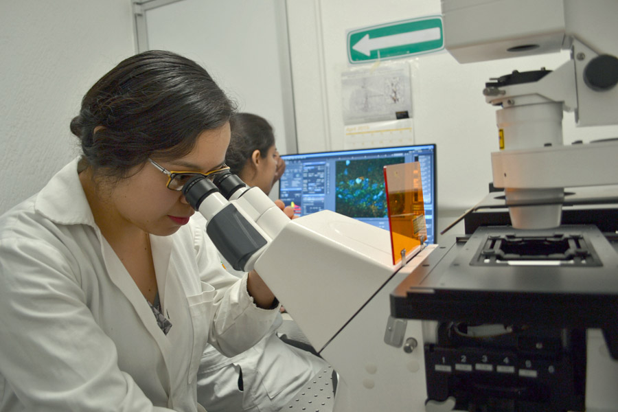 La BUAP firmará convenio con la Universidad de Oxford