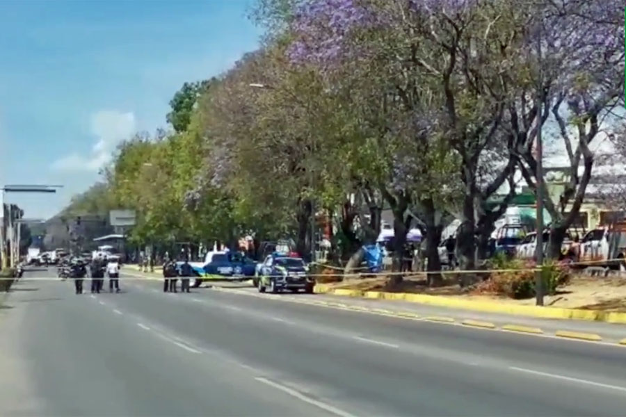 Se colgó hombre de un árbol frente al Sanborns del Bulevar 5 de Mayo