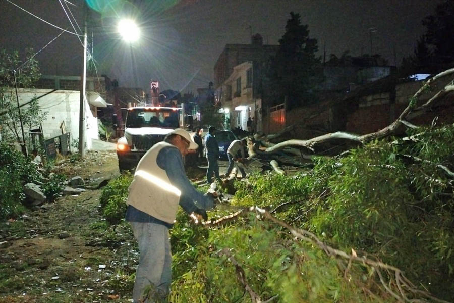 Lluvia dejó en Puebla capital 8 heridos y caída de árboles