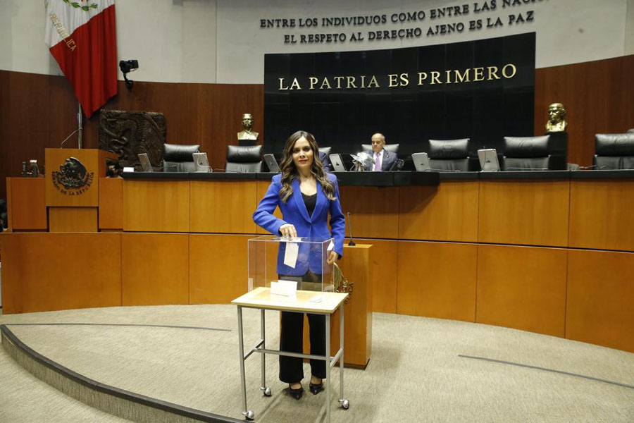 Diputada Carolina Beauregard presidirá una de las tres comisiones que funcionan durante receso legislativo