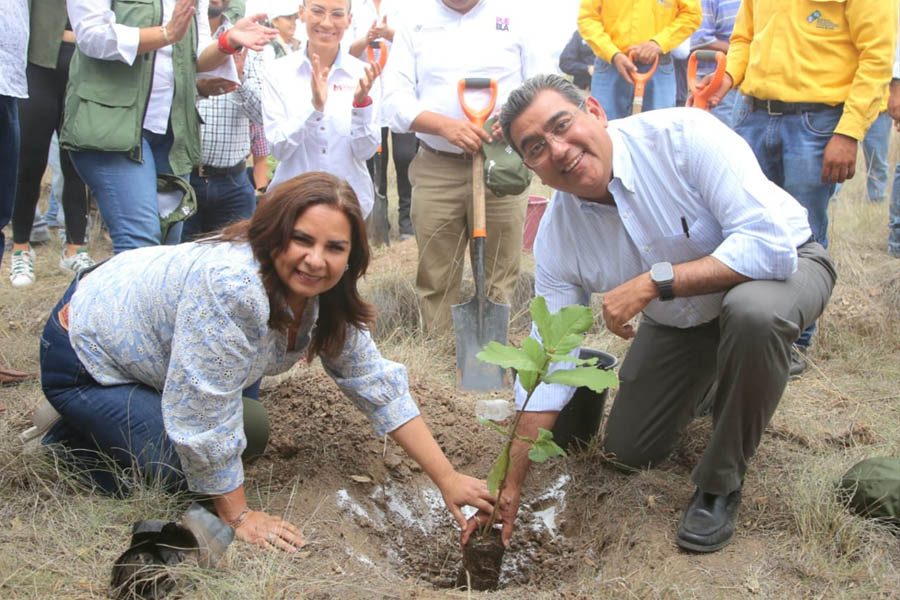 Inicia Sergio Salomón programa de reforestación en Parque estatal “Flor del Bosque”