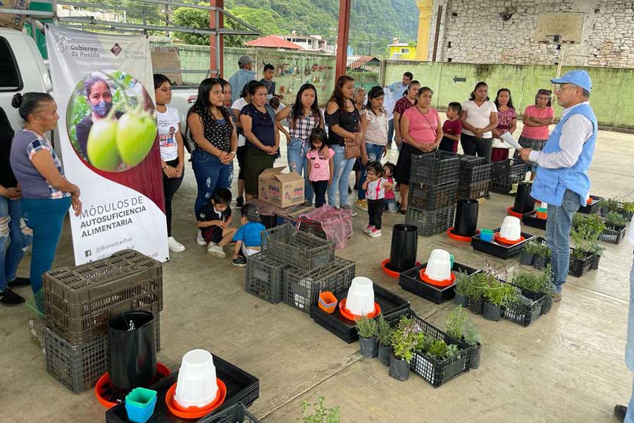 Con colaboración nacional e internacional, Bienestar continúa instalación de Módulos de Autosuficiencia Alimentaria