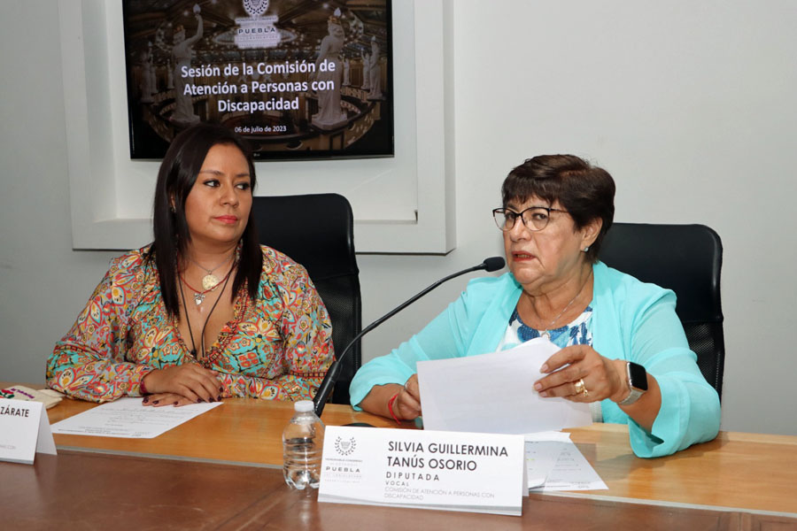 Presentan en Comisión del Congreso avances de la consulta a personas con discapacidad