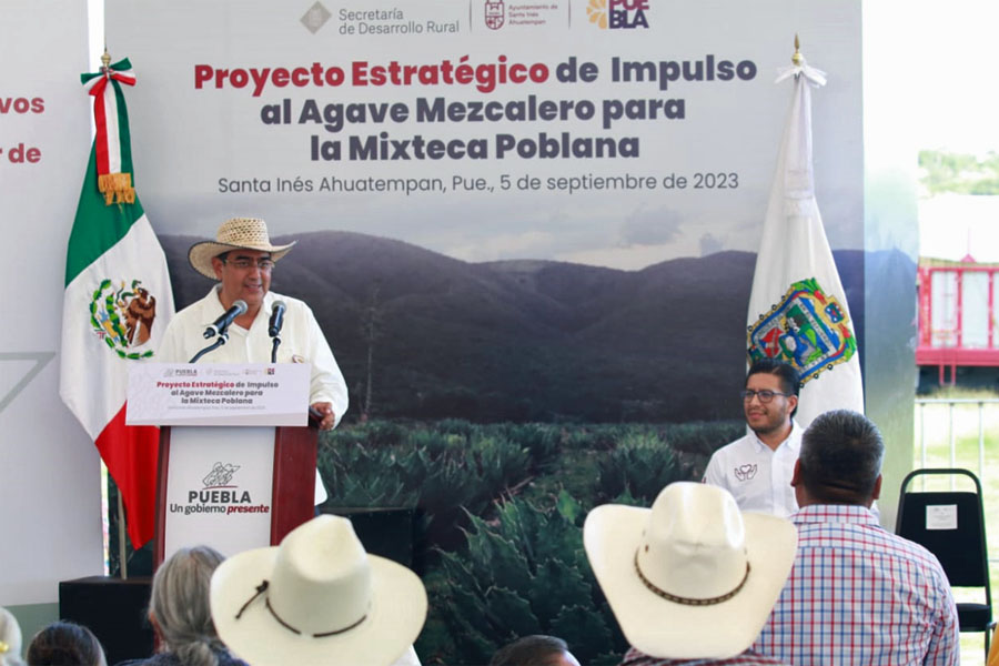 Con acciones del programa “impulso al agave mezcalero”, gobierno detona desarrollo de la mixteca