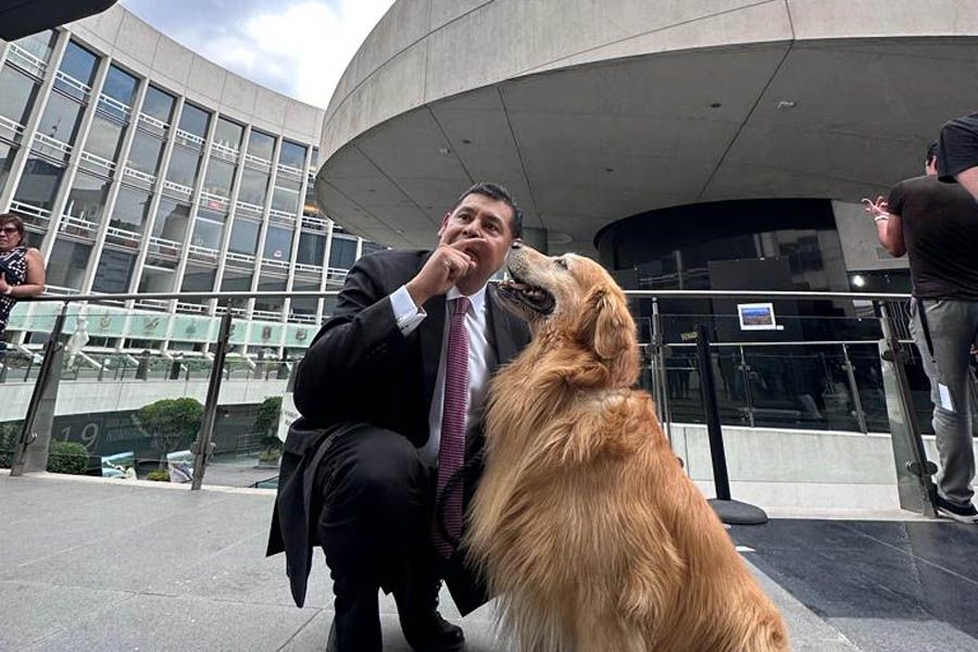 Armenta a favor del bienestar animal en la práctica