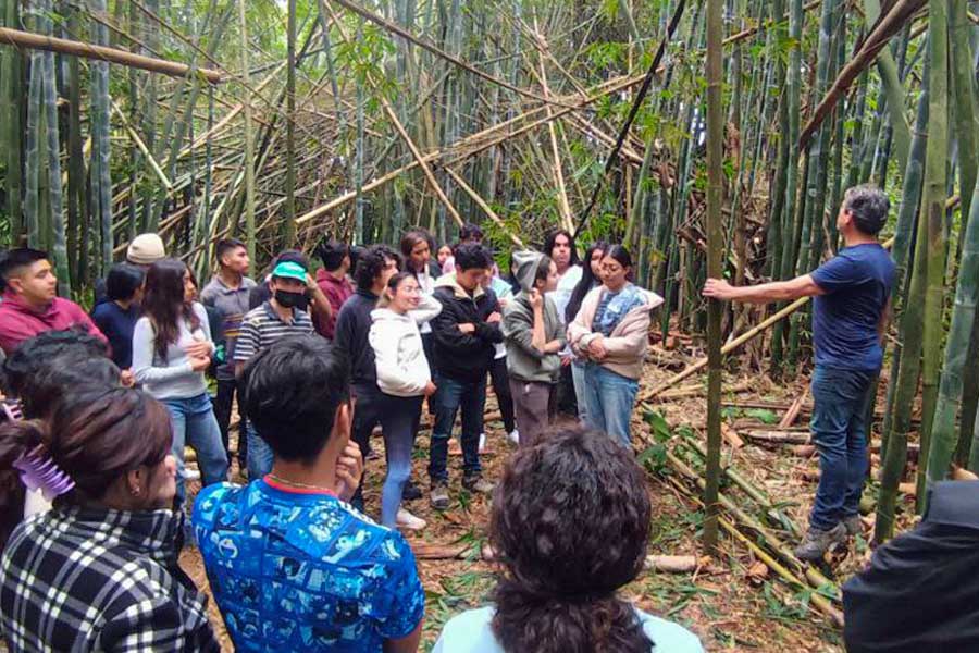 Estudiantes de Arquitectura de la UDLAP realizan proyecto con bambú en Cuauhtamazaco, Cuetzalan