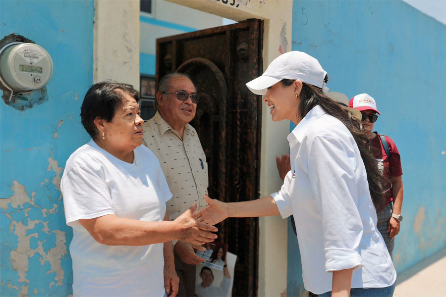 Propone Grace Palomares creación de Comités Ciudadanos para trabajo coordinado