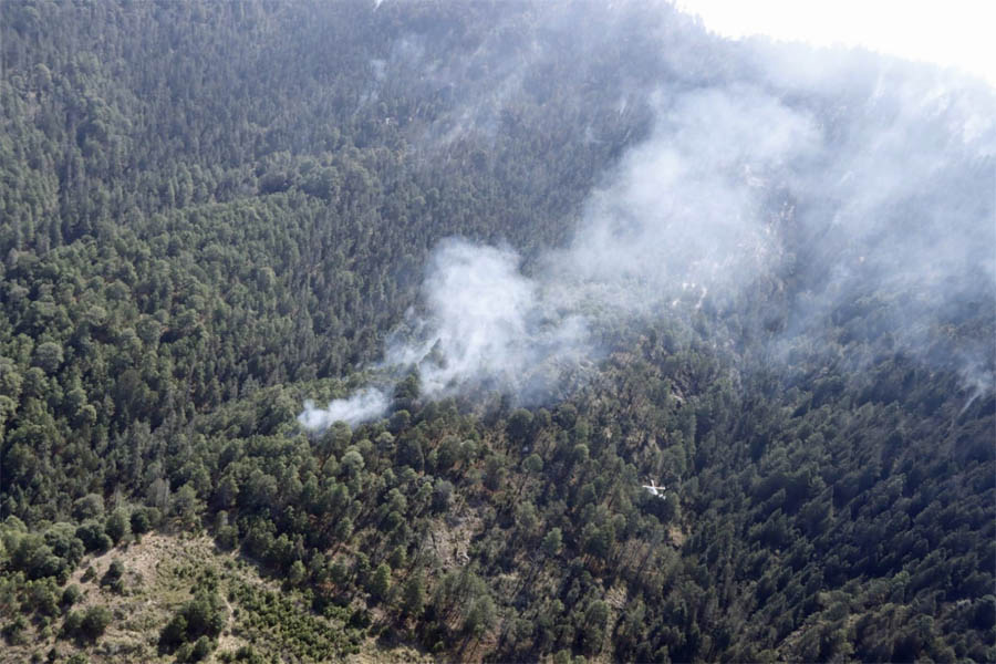 Mantienen tres órdenes de gobierno trabajos de liquidación de incendio de Libres