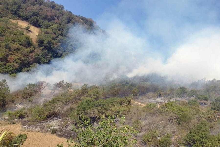 Trabaja gobierno en liquidar incendio forestal en Yehuala