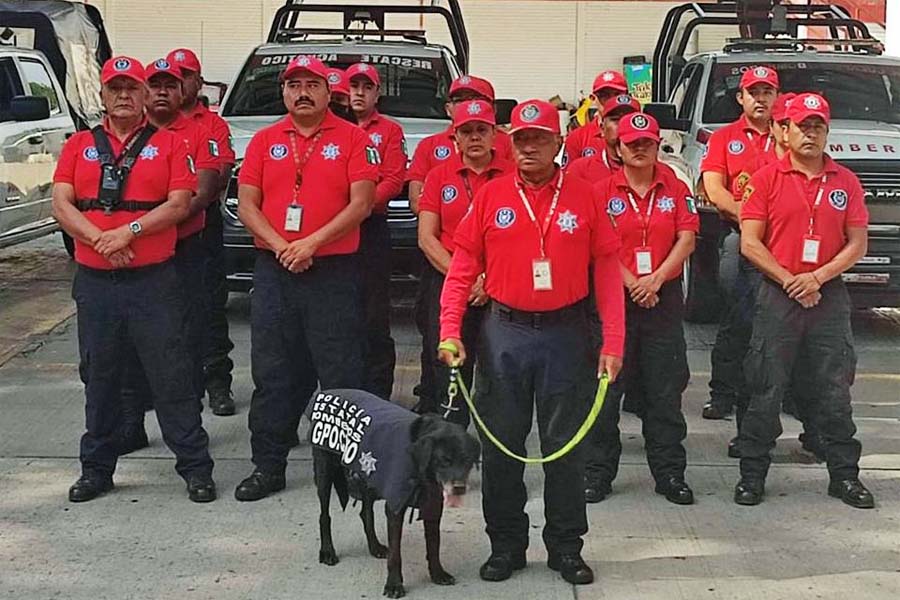 Despide SSP con honor a “Dana”, ejemplar canina de Bomberos