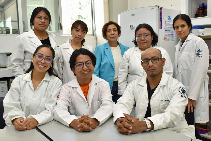 Pápalo y pipicha inhiben crecimiento de bacterias patógenas