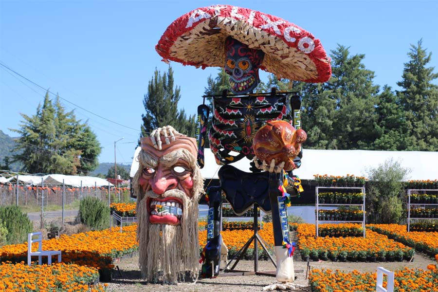 Invita Congreso al Festival de Cempasúchil en Atlixco