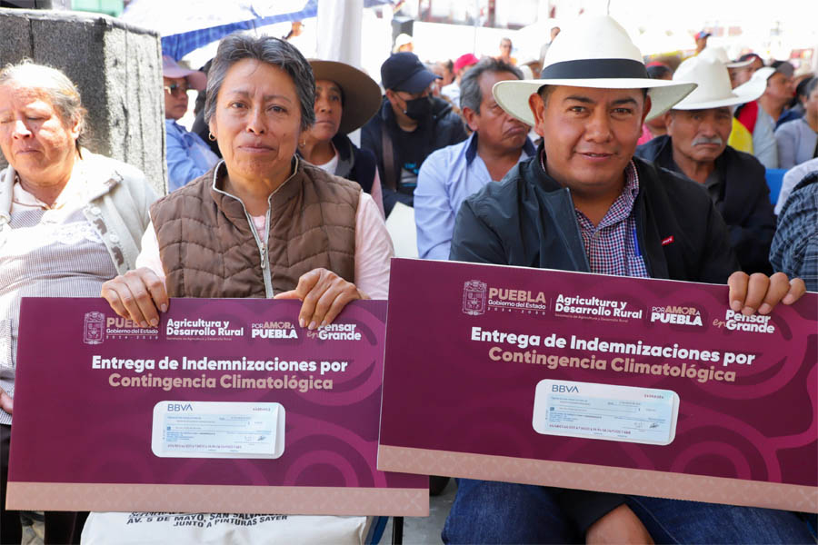 Gobierno rescata economía de productores ante heladas en Chiautzingo