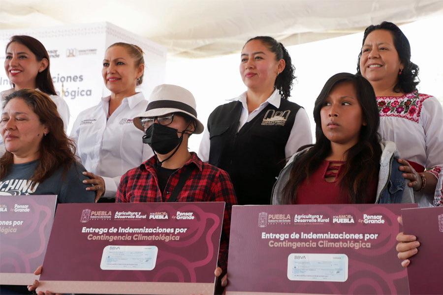Gobierno rescata economía de productores ante heladas en Chiautzingo
