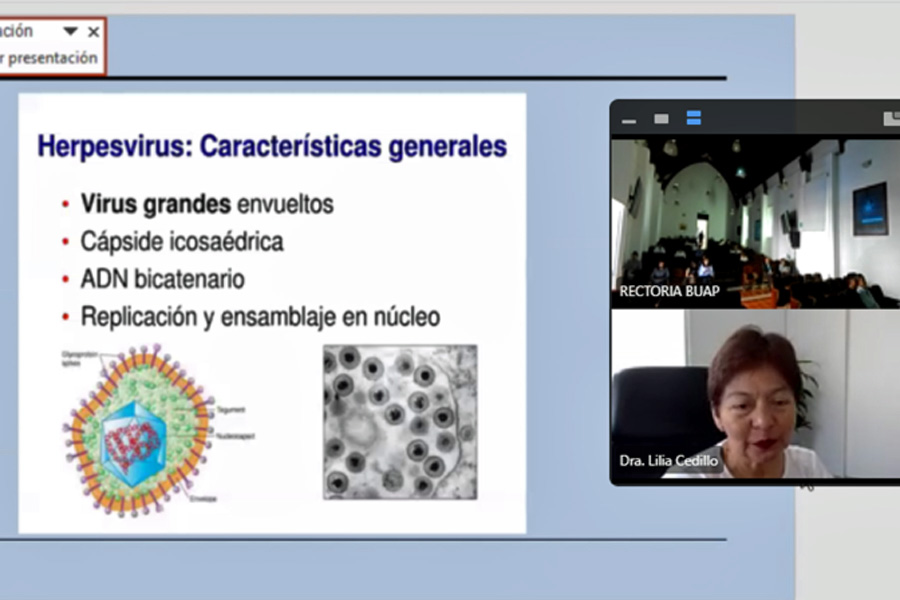 Las enfermedades infecciosas, un problema recurrente en el país