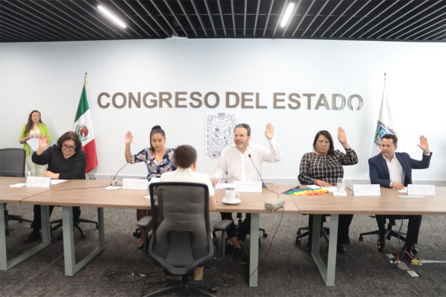 Denuncian en Comisión del Congreso a falsa ONG
