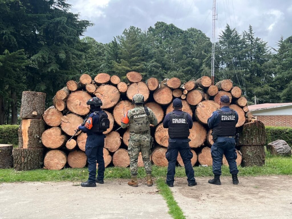 Policía forestal