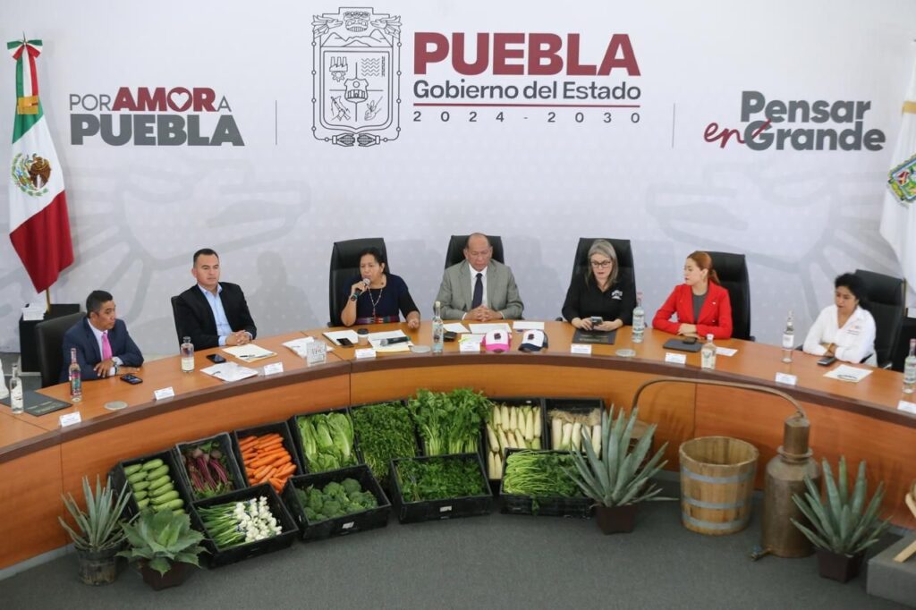 Gobierno de Puebla