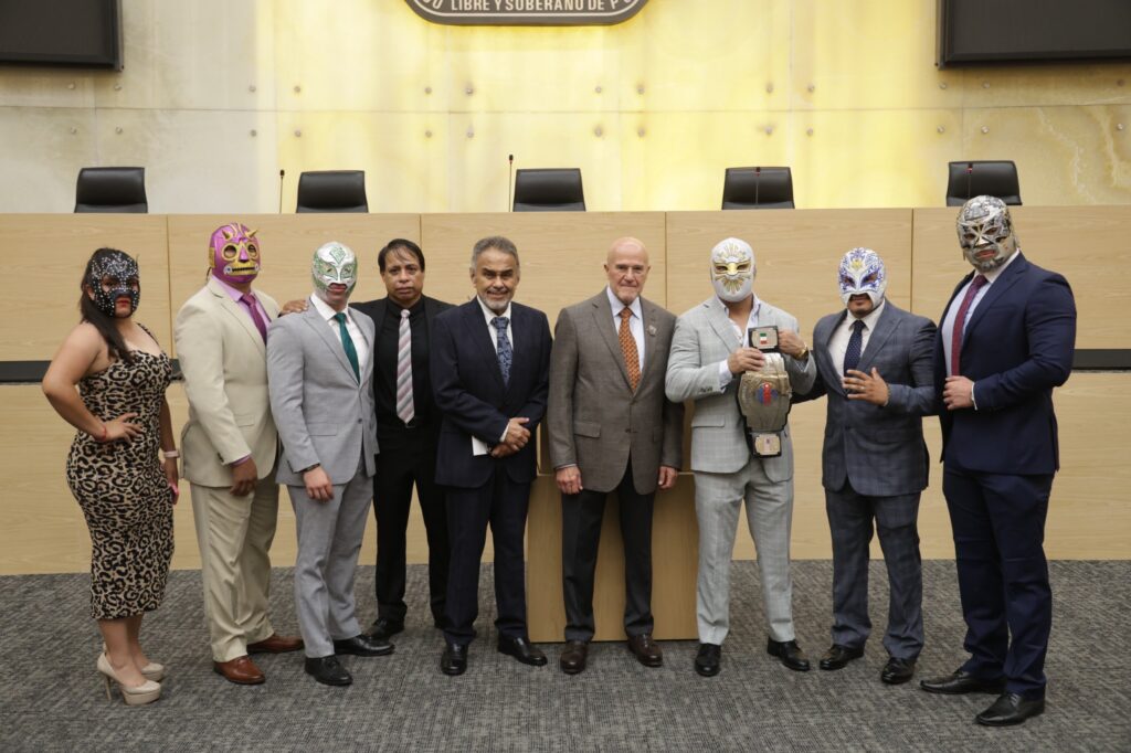 Luchadores q